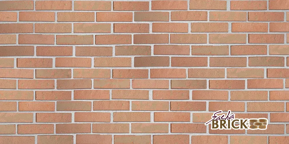 GALES Salmón-Amarillo